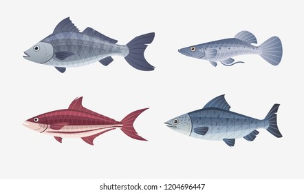 Fish characters set. Cartoon vector illustration. Fishing or food concept