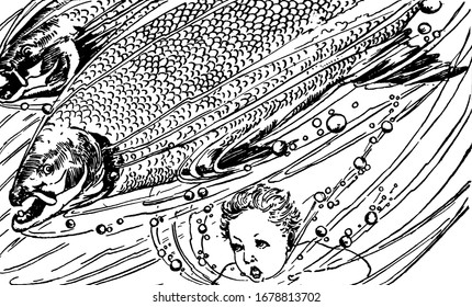 A fish and child in the water, vintage line drawing or engraving illustration