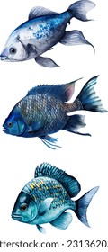 Fish clipart, isolated vector illustration.