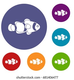 Fish clown icons set in flat circle red, blue and green color for web
