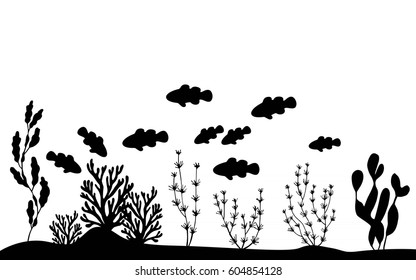 Fish clowns floating near seaweed on the sea bottom vector silhouette