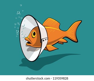 Fish collar. An amusing illustration of the unusual use of ordinary things for example the treatment of fish.