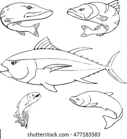 Fish collection