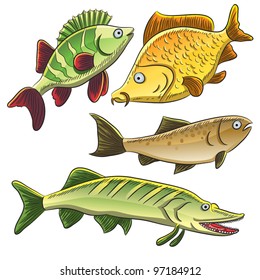 Fish Collection