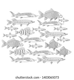 Fish collection, coloring sketch for your design