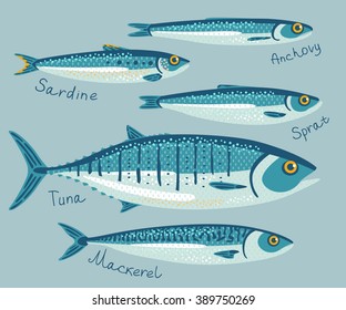 Fish collection for conservation in flat style. Set with anchovy, sardine, sprat, tuna and mackerel fishes for preservation. Vector illustration. Seafood packaging concept. 