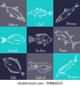 Fish collection: Dorado, Fish Eel, Tuna, Salmon, Halibut, Herring, Sea bass, Cod, Sturgeon.