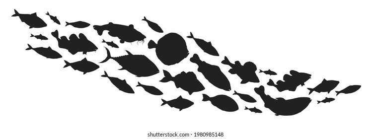 Fish collection. Hand drawn vector illustration. School of fish vector illustration. Food menu illustration. Flat fish set.  Sea and river fish.