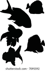 colección de peces aislada en fondo blanco