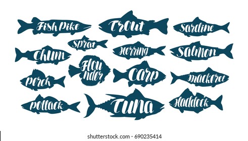 Fish, collection labels or logos. Seafood, food, fishing, angling set icons. Handwritten lettering, calligraphy vector illustration