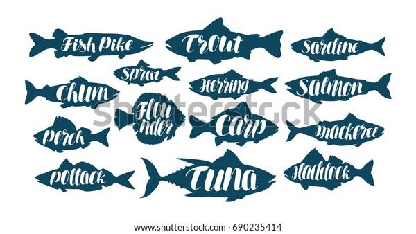魚 コレクションのラベル ロゴ 魚介類 食べ物 釣り 釣りセットのアイコン 手書きの文字 書道のベクターイラスト のベクター画像素材 ロイヤリティフリー
