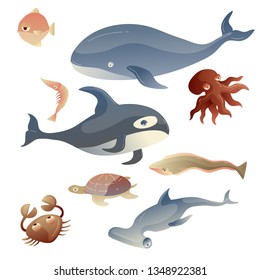 Fish collection on white background. Sea creature.