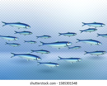 Fish colony school swimming elongated in movement direction group shape water transparent background realistic image vector illustration