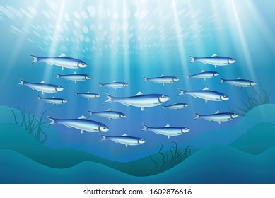 Fish colony schooling close to ocean bottom realistic underwater image with sun rays penetrating water vector illustration 