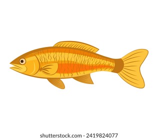 Fish of colorful set. This enchanting image feature a cartoon design of bright and lively yellow fish set against a serene white background. Vector illustration.