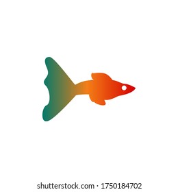 fish colorful vector design template illustration