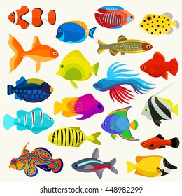 Fish Colorful Vector Set