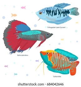 Fish Colorful Vector Set