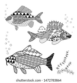 Fish coloring book with geometric pattern and monograms, Doodle style illustration isolated on white background.