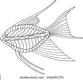 Fish coloring page for painting vector illustration 
