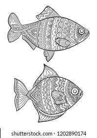 Fish coloring pages. Fashion drawing ocean animals drawings for adults books linear art vector line. Fish coloring drawing, ocean or sea animal sketch illustration