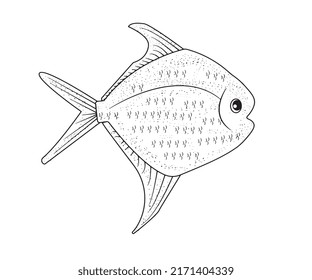 395 Clown fish coloring page Images, Stock Photos & Vectors | Shutterstock