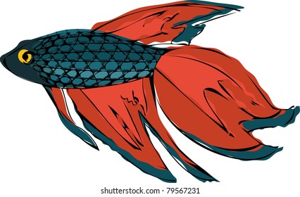 fish combatant line