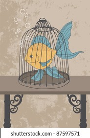 Fish confined in the cage