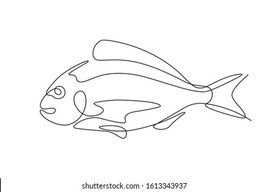 Fish in continuous line art drawing style. Minimalist black linear sketch on white background. Vector illustration