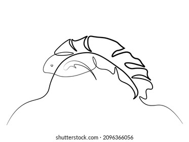 fish in continuous line art drawing style. Minimalist black linear sketch on white background. Vector illustration