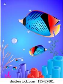 fish with corals.no mesh no blend.