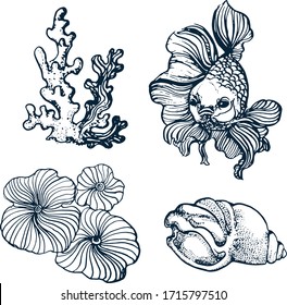 fish corals and shell set, hand drawing vector