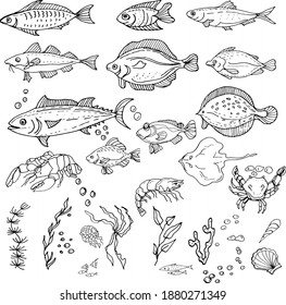 Fish, crabs, seafood. Shrimp, halibut, tuna, shrimp, flounder. Seamless pattern. Hand drawn watercolor illustration. travel, sea, ocean, food. print, textiles