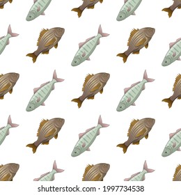 Fish crucian carp and rudd seamless pattern, isolated, side view, hand drawn