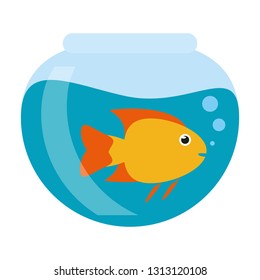 Fish in crystal bowl
