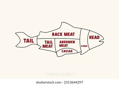 Diagrama de cortes de pescado en línea delgada. Impresión de color sobre fondo blanco