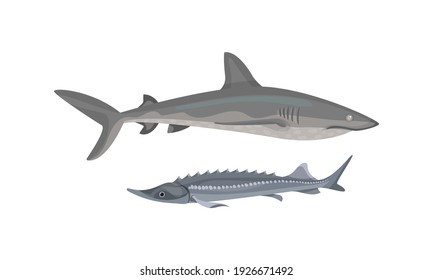 Fish from Deep Sea as Gill-bearing Aquatic Animals Vector Set
