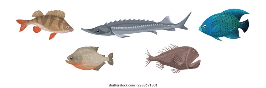 Fish from Deep Sea as Gill-bearing Aquatic Animals Vector Set