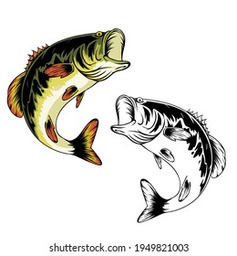 Fish Design Illustration, can be used for mascot, logo, apparel and more.Editable Design