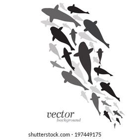 Fish design on white background - Vector Illustration