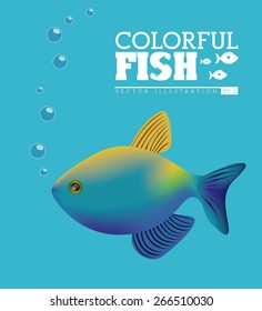 Fish design over blue background, vector illustration