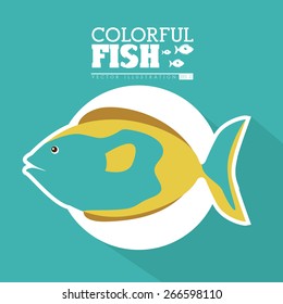 Fish design over blue background, vector illustration