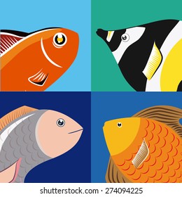 Fish design over colorful background, vector illustration.