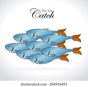 Fish design over white background, vector illustration