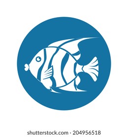 Fish design over white background, vector illustration