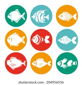Fish design over white background, vector illustration