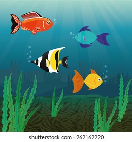 Fish design over white background, vector illustration.