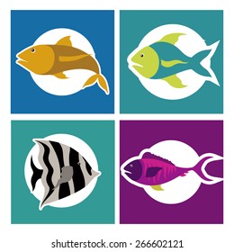 Fish design over white background, vector illustration