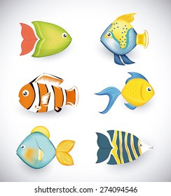 Fish design over white background, vector illustration.