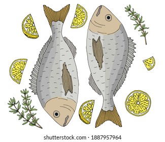 Fish dish, dorado with lemon and thyme, hand drawn and isolated. Beautiful template for restaurant or cafe menu, card, promo, invitation, market or shop. Vector illustration